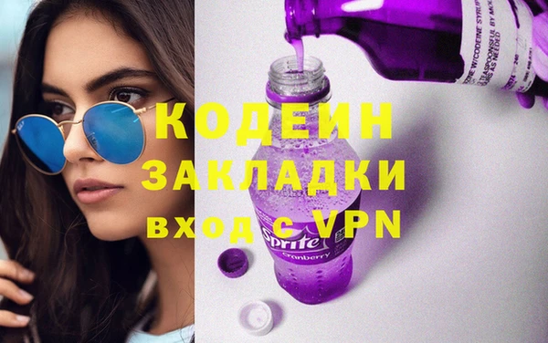 шишки Абаза