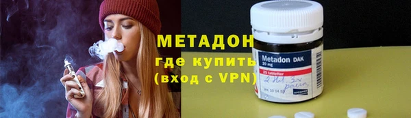 индика Осинники
