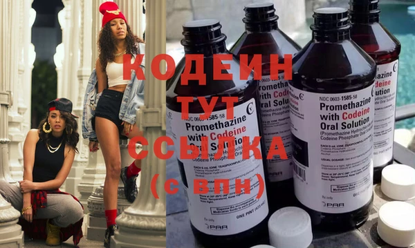 индика Осинники