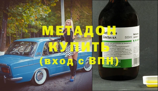 шишки Абаза