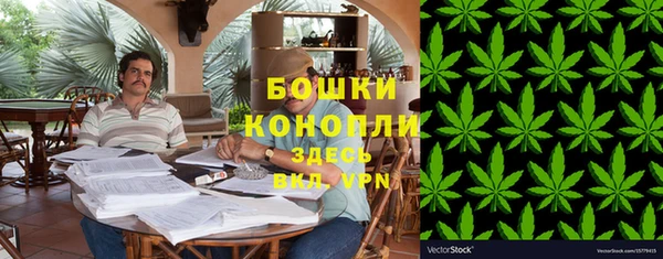 шишки Абаза