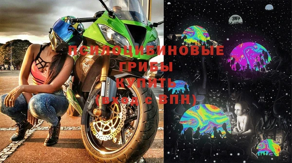 индика Осинники