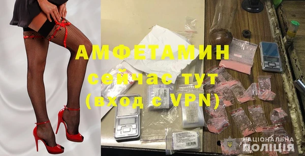 шишки Абаза