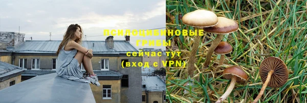 гашик Абинск