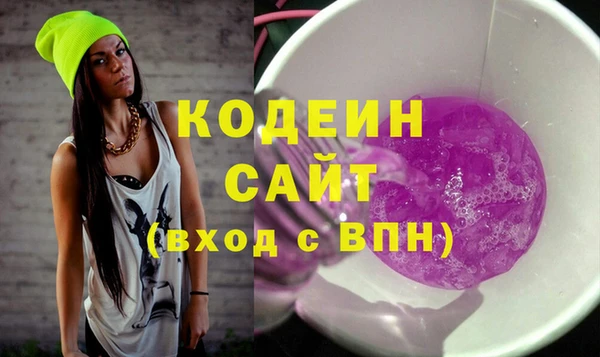 индика Осинники