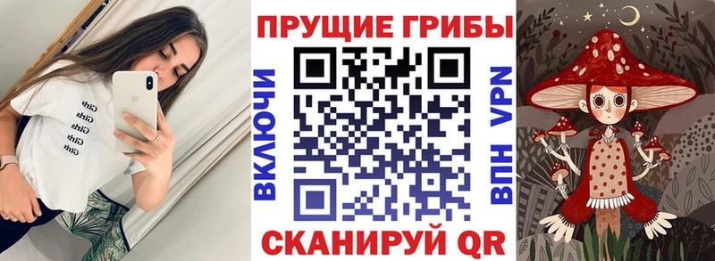 Псилоцибиновые грибы MAGIC MUSHROOMS  MEGA ссылки  Дедовск  сколько стоит 